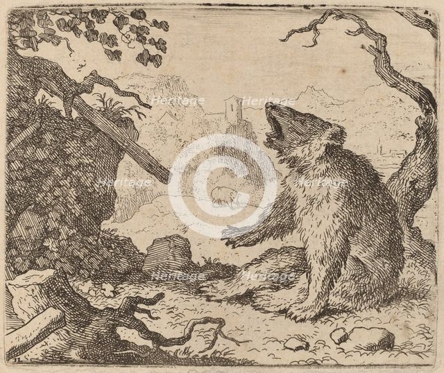 The Bear Sent as Messenger, probably c. 1645/1656. Creator: Allart van Everdingen.