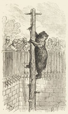 The Bear Pit - Zoological Gardens, 1872. Creator: Alexis Jean François Alphonse Demarle