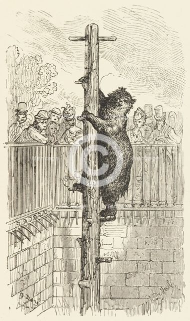 The Bear Pit - Zoological Gardens, 1872.  Creator: Alexis Jean François Alphonse Demarle.