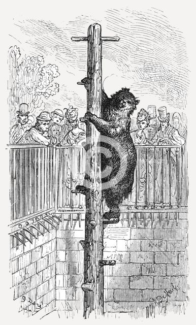 'The Bear Pit - Zoological Gardens', 1872.  Creator: Gustave Doré.