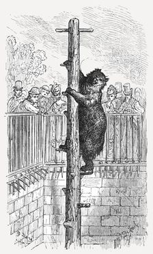 The Bear Pit - Zoological Gardens 1872. Creator: Gustave Doré
