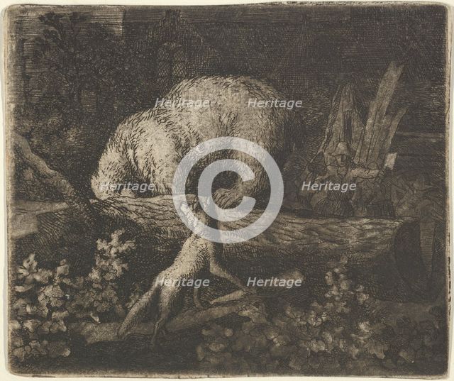 The Bear with His Snout and Forepaws Caught in the Trunk of a Tree, mid-17th century. Creator: Allart van Everdingen.
