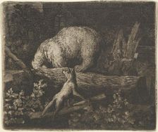 The Bear with His Snout and Forepaws Caught in the Trunk of a Tree, mid-17th century. Creator: Allart van Everdingen
