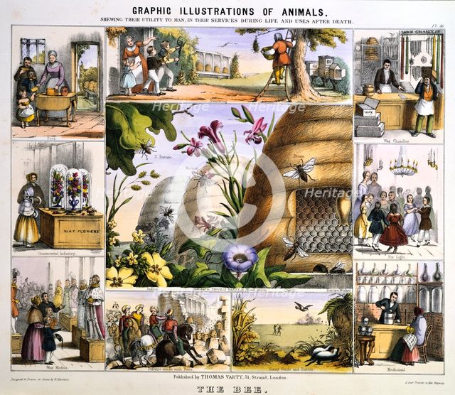 'The Bee', c1850. Creator: Benjamin Waterhouse Hawkins.