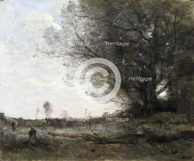 'The beech tree', 1816-1875. Artist: Jean-Baptiste-Camille Corot.