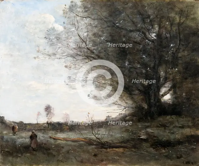 'The beech tree', 1816-1875. Creator: Jean-Baptiste-Camille Corot.