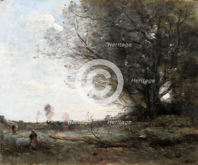 'The beech tree', 1816-1875. Creator: Jean-Baptiste-Camille Corot.