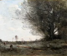The beech tree 1816-1875. Creator: Jean-Baptiste-Camille Corot