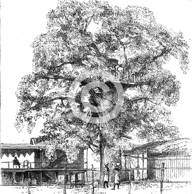 ''The Belgium Anti-Slavery Society on the Congo; The Italian Consul's Private Residence, with the Sl Creator: Unknown.