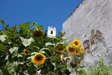 The bell tower of the main church (igreja matriz) of Mertola, Portugal, 2009. Creator: Samuel Magal