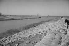 The Bessie Levee, along a subsid...Mississippi River, near Tiptonville, Tennessee, 1937. Creator: Walker Evans