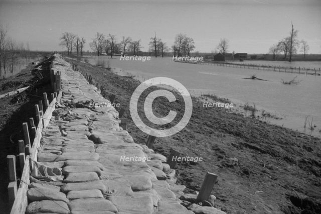 The Bessie Levee, along a subsid...Mississippi River, near Tiptonville, Tennessee, 1937. Creator: Walker Evans.