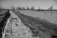 The Bessie Levee, along a subsid...Mississippi River, near Tiptonville, Tennessee, 1937. Creator: Walker Evans