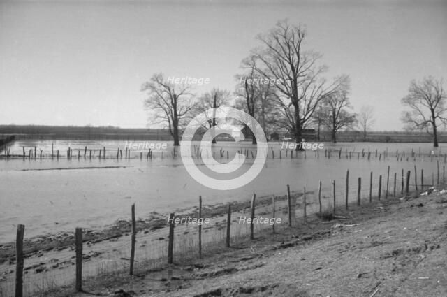 The Bessie Levee, along a subsid...Mississippi River, near Tiptonville, Tennessee, 1937. Creator: Walker Evans.