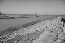 The Bessie Levee, along a subsid...Mississippi River, near Tiptonville, Tennessee, 1937. Creator: Walker Evans