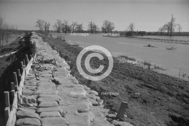 The Bessie Levee, along a subsid...Mississippi River, near Tiptonville, Tennessee, 1937. Creator: Walker Evans.