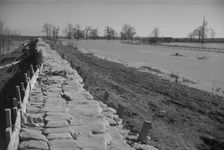 The Bessie Levee, along a subsid...Mississippi River, near Tiptonville, Tennessee, 1937. Creator: Walker Evans