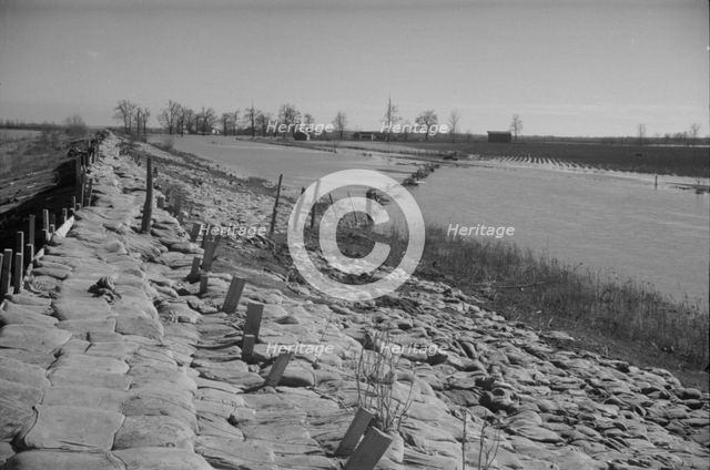 The Bessie Levee, along a subsidiary...Mississippi River, near Tiptonville, Tennessee, 1937. Creator: Walker Evans.