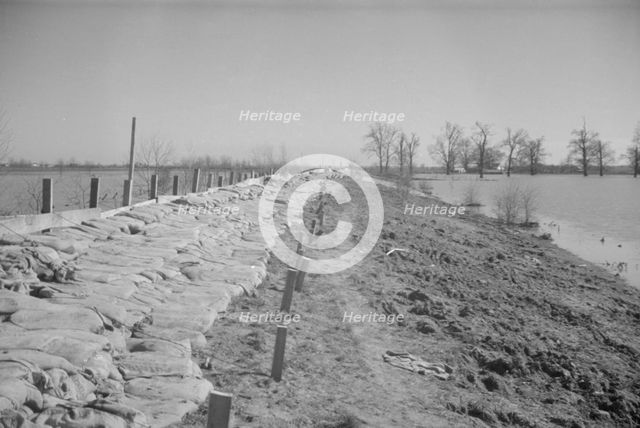 The Bessie Levee augmented with sand bags...1937 flood near Tiptonville, Tennessee, 1937. Creator: Walker Evans.