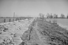 The Bessie Levee augmented with sand bags...1937 flood near Tiptonville, Tennessee, 1937. Creator: Walker Evans