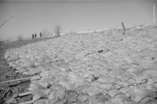 The Bessie Levee augmented with sand bags...1937 flood near Tiptonville, Tennessee, 1937. Creator: Walker Evans