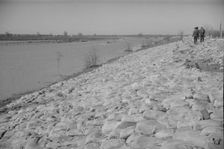 The Bessie Levee augmented with sand bags...1937 flood, Near Tiptonville, Tennessee, 1937. Creator: Walker Evans