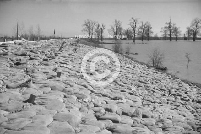 The Bessie Levee augmented with sand bags during the 1937 flood near Tiptonville, Tennessee, 1937. Creator: Walker Evans.