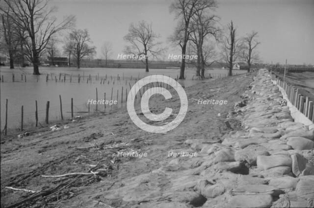 The Bessie Levee augmented with sand bags during the 1937 flood, Near Tiptonville, Tennessee, 1937. Creator: Walker Evans.
