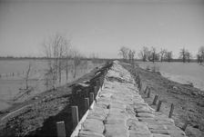 The Bessie Levee augmented with sand bags, near Tiptonville, Tennessee, 1937. Creator: Walker Evans