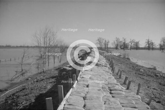 The Bessie Levee augmented with sand bags, near Tiptonville, Tennessee, 1937. Creator: Walker Evans.
