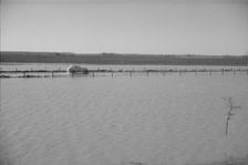 The Bessie Levee augmented with sand bags, near Tiptonville, Tennessee, 1937. Creator: Walker Evans