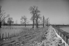 The Bessie Levee augmented with sand bags, near Tiptonville, Tennessee, 1937. Creator: Walker Evans