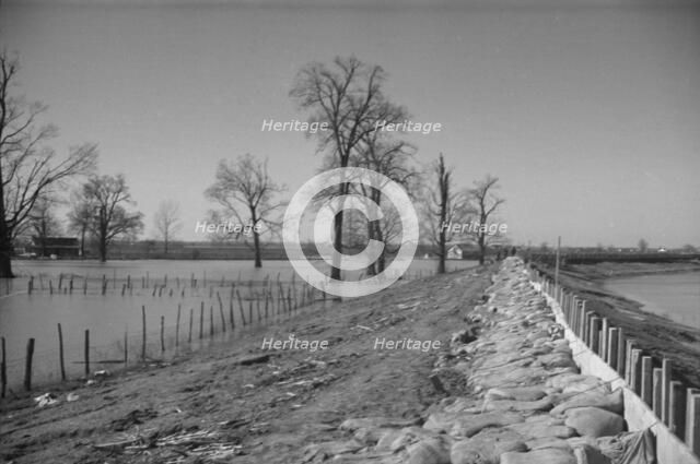 The Bessie Levee augmented with sand bags, near Tiptonville, Tennessee, 1937. Creator: Walker Evans.
