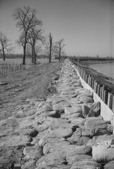 The Bessie Levee augmented with sand bags, near Tiptonville, Tennessee, 1937. Creator: Walker Evans