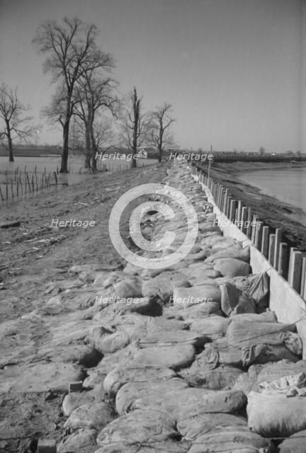 The Bessie Levee augmented with sand bags, near Tiptonville, Tennessee, 1937. Creator: Walker Evans.