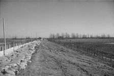The Bessie Levee augmented with sand bags, near Tiptonville, Tennessee, 1937. Creator: Walker Evans