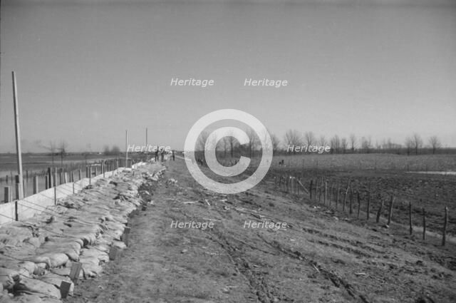 The Bessie Levee augmented with sand bags, near Tiptonville, Tennessee, 1937. Creator: Walker Evans.