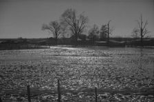 The Bessie Levee augmented with sand bags, near Tiptonville, Tennessee, 1937. Creator: Walker Evans