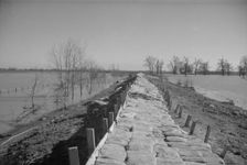 The Bessie Levee augmented with sand bags, near Tiptonville, Tennessee, 1937. Creator: Walker Evans