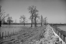 The Bessie Levee augmented with sand bags, near Tiptonville, Tennessee, 1937. Creator: Walker Evans