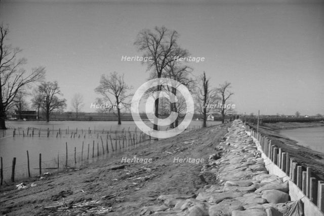 The Bessie Levee augmented with sand bags, near Tiptonville, Tennessee, 1937. Creator: Walker Evans.