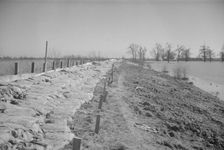 The Bessie Levee augmented with sand bags...1937 flood near Tiptonville, Tennessee, 1937. Creator: Walker Evans