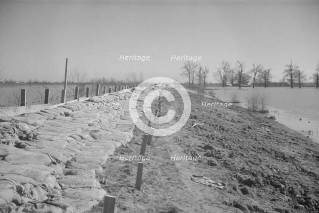 The Bessie Levee augmented with sand bags...1937 flood near Tiptonville, Tennessee, 1937. Creator: Walker Evans.