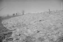 The Bessie Levee augmented with sand bags...1937 flood near Tiptonville, Tennessee, 1937. Creator: Walker Evans