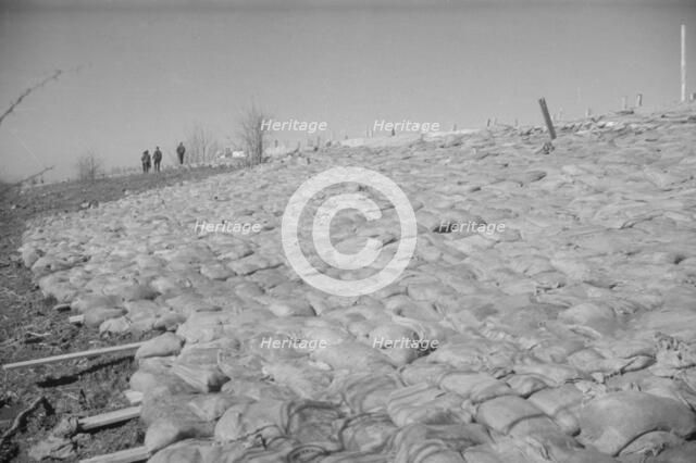 The Bessie Levee augmented with sand bags...1937 flood near Tiptonville, Tennessee, 1937. Creator: Walker Evans.