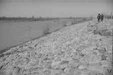 The Bessie Levee augmented with sand bags...1937 flood, Near Tiptonville, Tennessee, 1937. Creator: Walker Evans