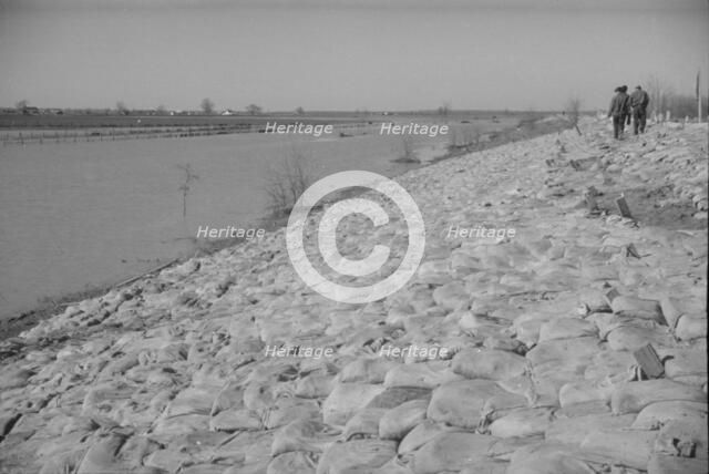 The Bessie Levee augmented with sand bags...1937 flood, Near Tiptonville, Tennessee, 1937. Creator: Walker Evans.