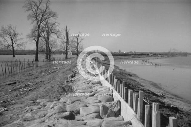 The Bessis Levee, along a subsidiary of the Mississippi River, near Tiptonville, Tennessee, 1937. Creator: Walker Evans.