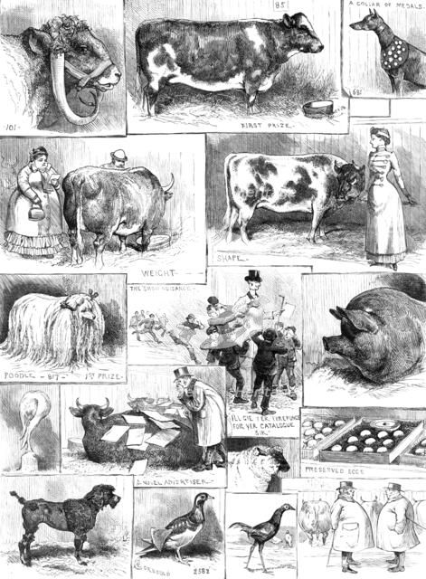 The Birmingham Cattle, Poultry, and Dog Show, 1883. Creator: Unknown.