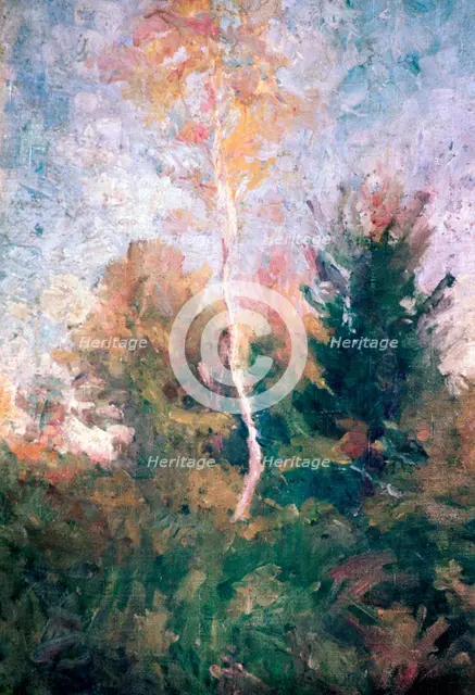 'The Birch', c1889-1943. Artist: Rihard Jakopic
